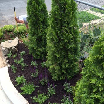 Capitol Hill Front Yard Renovation