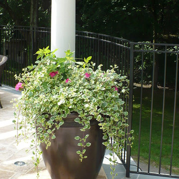 Container plantings at pool
