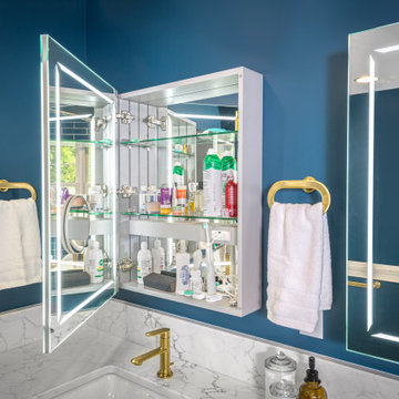 LED Medicine Cabinet with Interior Lighting & USB | Harrisburg, PA