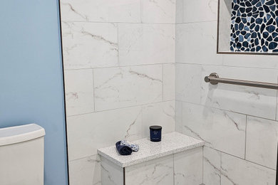 Bathroom - transitional bathroom idea in DC Metro