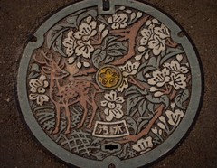 covering drain clean out