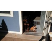 Maggie Karveller's photo