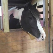Kathryn Blain's photo