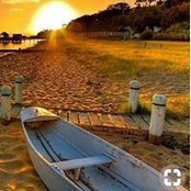 Selisa Hebert's photo