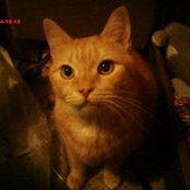 Mike Brundage's photo