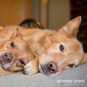 David Ressell's photo