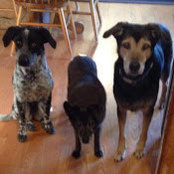 Tammy King's photo