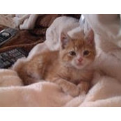 Jack Chong's photo