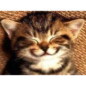 Diana Zee's photo