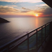 D P's photo