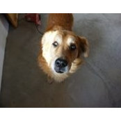 Criss Stanculescu's photo