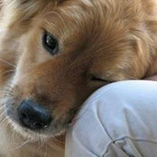 Laura Retyi's photo