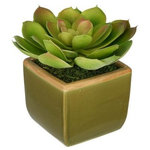House of Silk Flowers, Inc. - Artificial Red-Tip Echevaria Succulent in Olive Green Ceramic Vase - This contemporary artificial echevaria succulent is handcrafted by House of Silk Flowers. This plant will complement any decor, whether in your home or at the office. Professionally-arranged artificial succulent plant is securely potted in an olive green ceramic vase (5" tall x 5 1/2" x 5 1/2"). It is arranged for 360-degree viewing. The overall dimensions are measured leaf tip to leaf tip, bottom of planter to tallest leaf tip: 8" tall x 8" diameter. Measurements are approximate, and will be determined by your final shaping of the plant upon unpacking it. No arranging is necessary, only minor shaping, with the way in which we package and ship our products. This item is only recommended for indoor use.