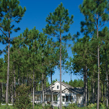 Exterior Ideas
