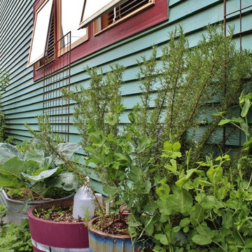 Seattle Organic Garden