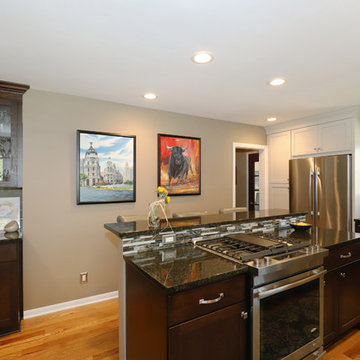 Traditional Kitchen Remodel