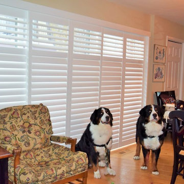 Hunter Douglas Palm Beach Shutters in Glenview Living Room on Patio Door, Planta