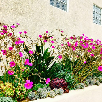 Design- Coastal, Huntington Beach, CA