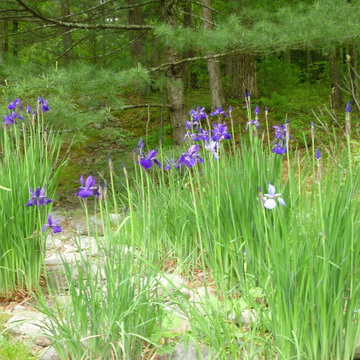 Catskill Mountain Project