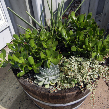 Deck and Garden flowers