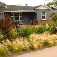 Desert Landscaping Ideas