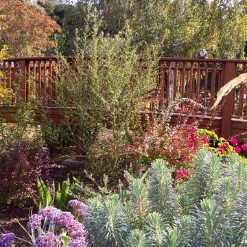Lawn Replacement in a Challenging Environment