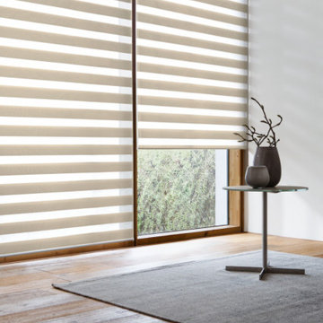 Double Roller Shade