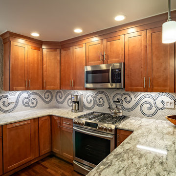 Fabuwood Galaxy Pecan Shaker Kitchen