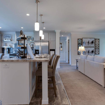The Montecito by Perpetual Homes - Interior (Single Family Home)