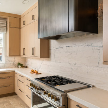 South Bay: Almaden Valley Renovation | Almaden Sophisticate