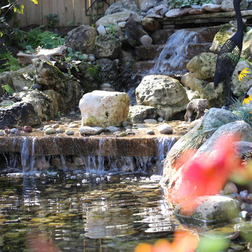 Backyard Pond