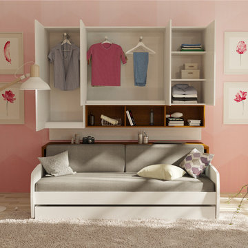 Compact Twin XL Sofa bed and Cabinets Wall System