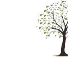 Forest Hill Forestry