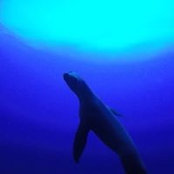 Andrew Lessard's photo