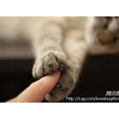 Julie Xu's photo