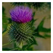 Stephen Hollinger's photo