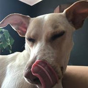 Ta Beas foto