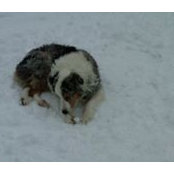Debbie McNally's photo