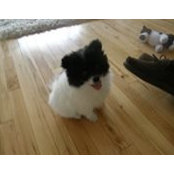 Lyla Ancel's photo