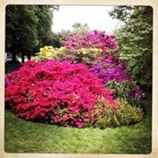 Carole Pénillard's photo