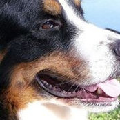 Samantha Workman's photo