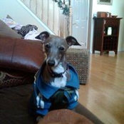 Todd Mcgowan's photo