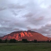 Jennifer Makin-Willard's photo