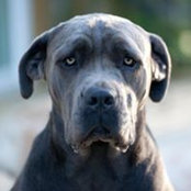 Todd Scarlett's photo