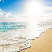 Francesca Pierce's photo