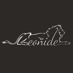 Leonide Interiors