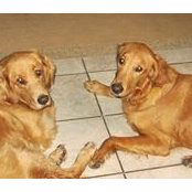 Jeannie Woolard's photo