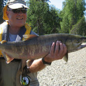 Donald Poole's photo