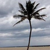 Sandra Kreutzer's photo