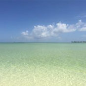 Hamilton Hines's photo